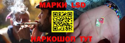 гидропоника Кингисепп